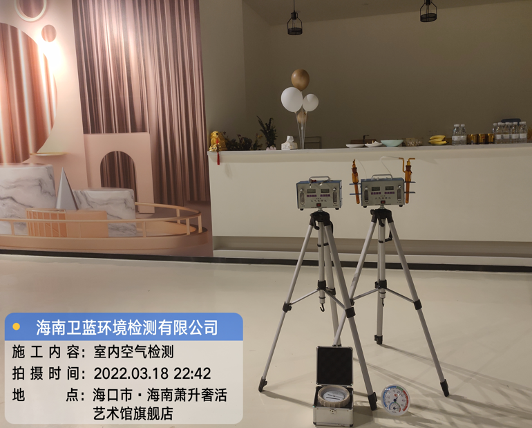 海南CMA甲醛檢測-?？谑惺捝莼钏囆g館甲醛檢測
