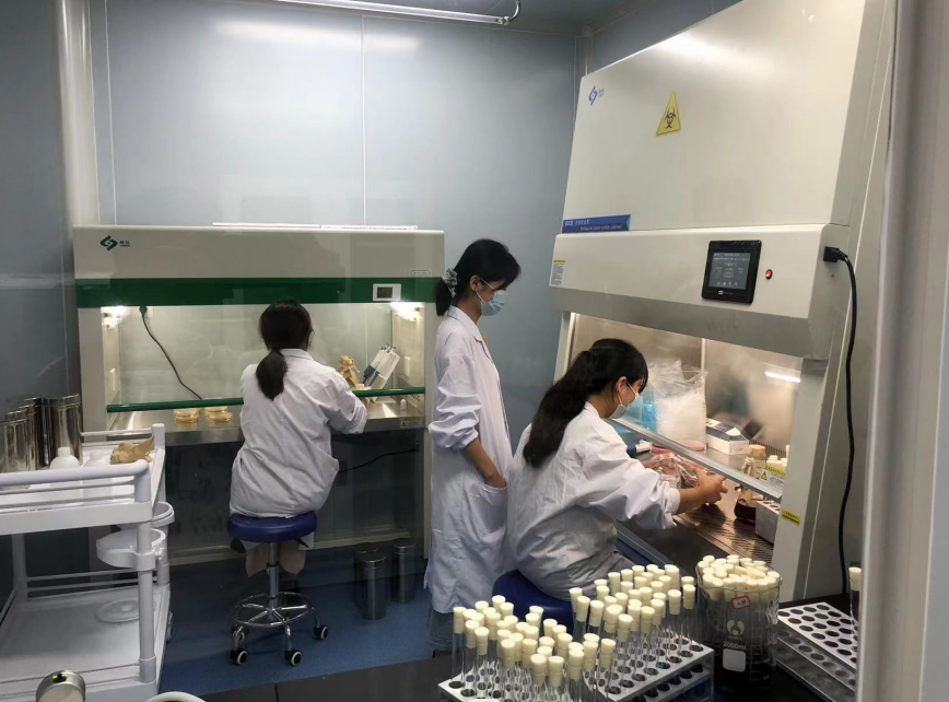 公共衛(wèi)生檢測(cè)的重要性，你了解嗎？