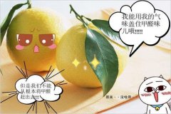 去除甲醛的方法多種多樣，哪種最實用靠譜